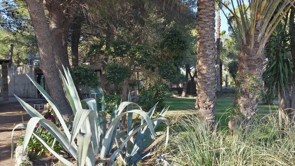 Tenuta Terenzano Torre San Giovanni Buitenkant foto