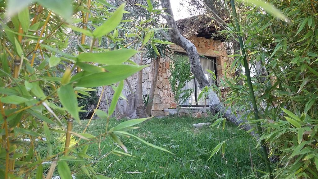 Tenuta Terenzano Torre San Giovanni Buitenkant foto